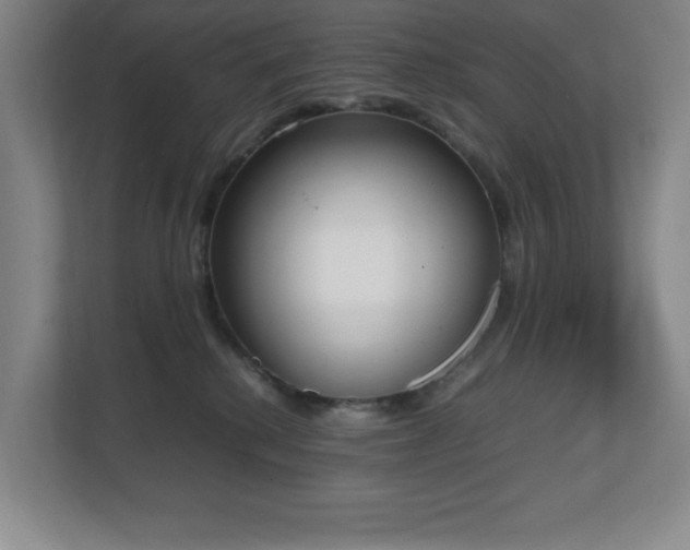 X0000111250280200907021437