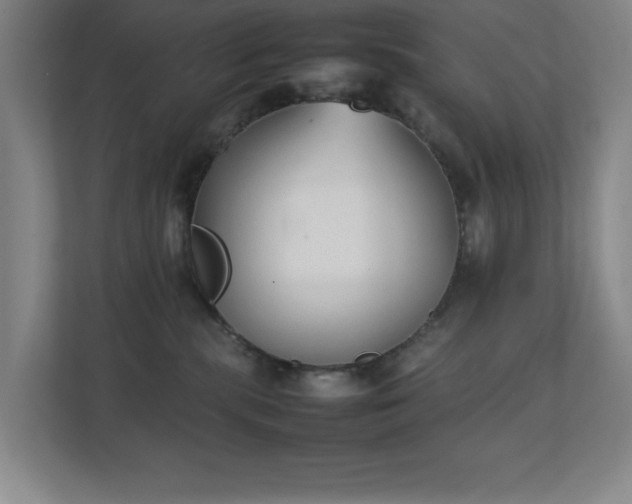 X0000111250283200907021437