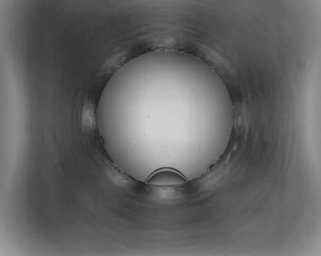 X0000111250287200907021437