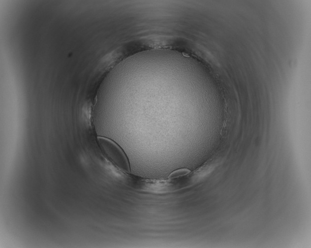 X0000111250288200907021437