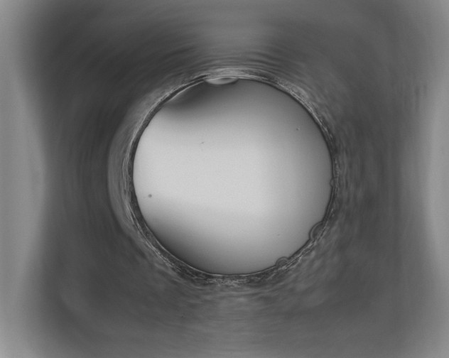 X0000111250289200907021437
