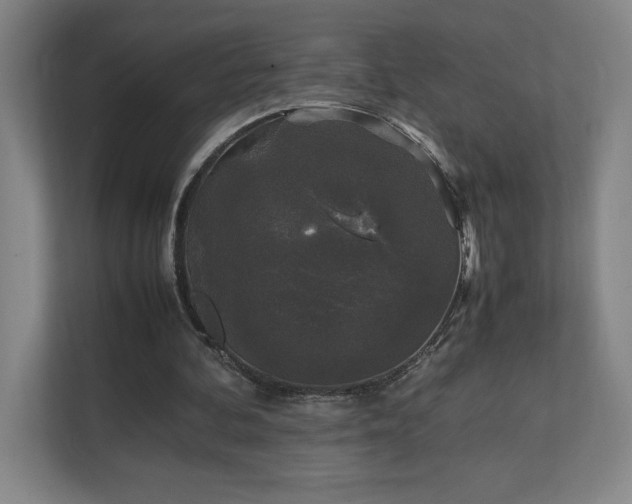 X0000111250292200907021437