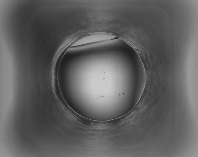 X0000111250293200907021437