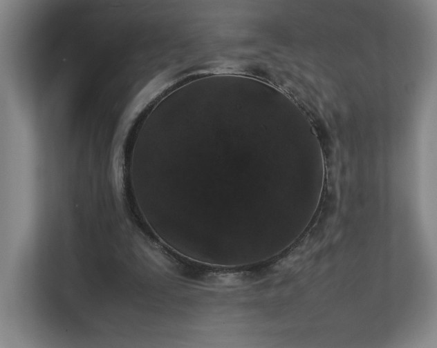 X0000111250295200907021437