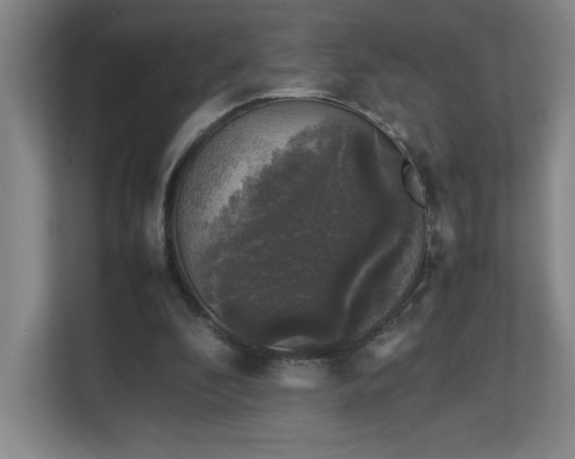 X0000111250296200907021437