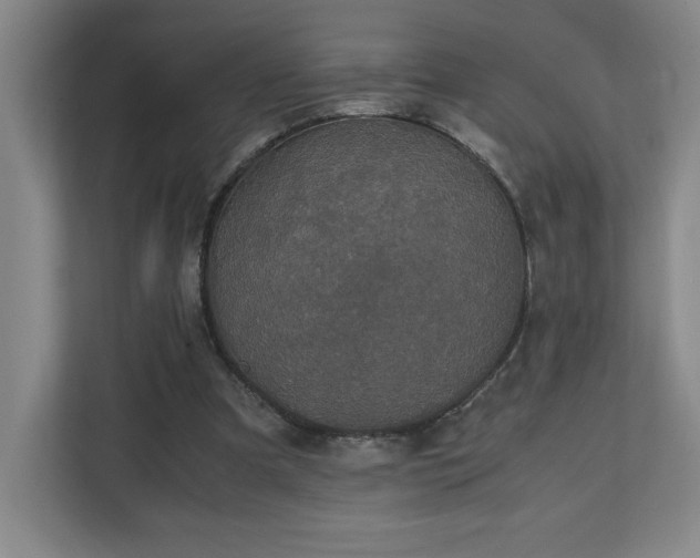 X0000111250297200907021437