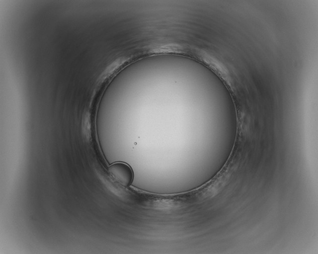 X0000111250298200907021436
