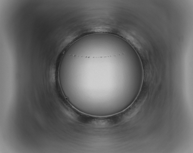 X0000111250299200907021436
