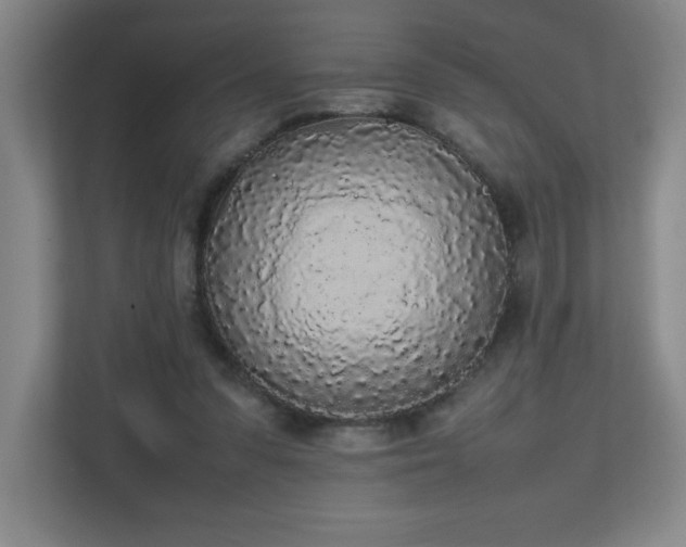 X0000111250303200907021436