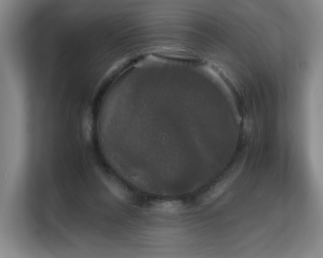 X0000111250304200907021436