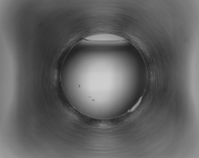 X0000111250308200907021436