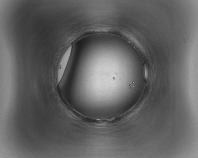 X0000111250309200907021436