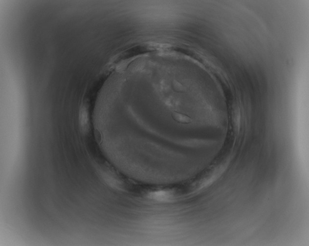 X0000111250312200907021436