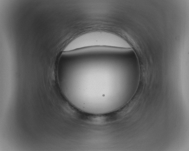 X0000111250313200907021436