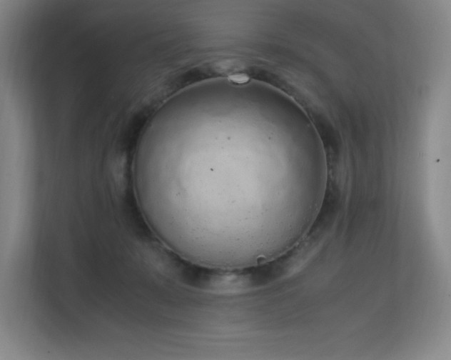 X0000111250319200907021436
