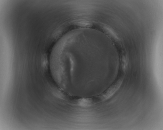 X0000111250320200907021436