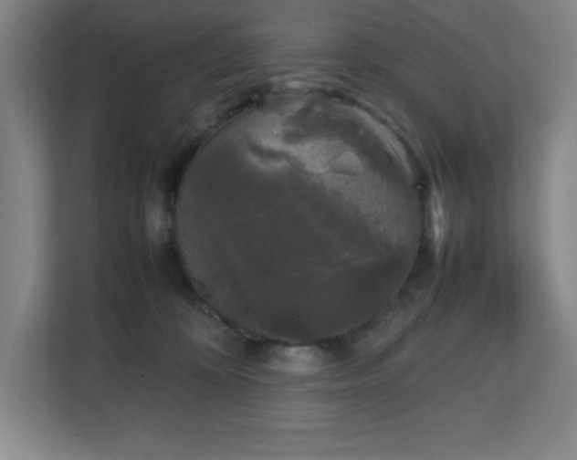 X0000111250324200907021436
