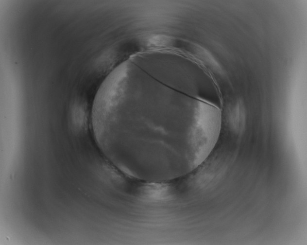 X0000111250328200907021436