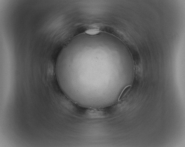 X0000111250331200907021436