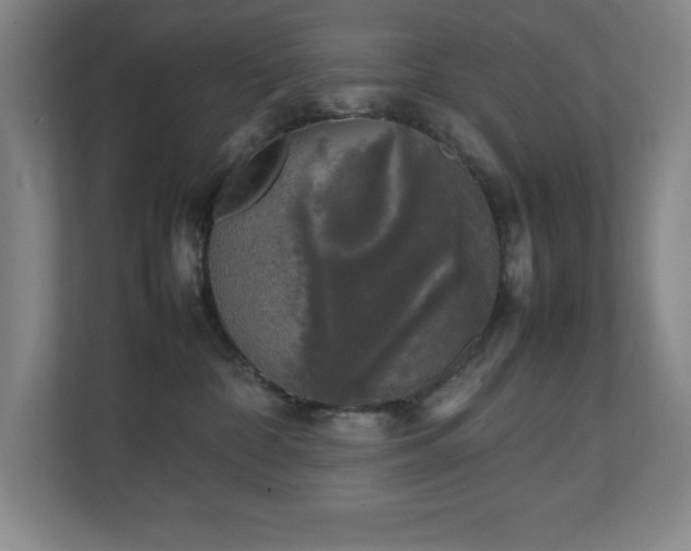 X0000111250332200907021436