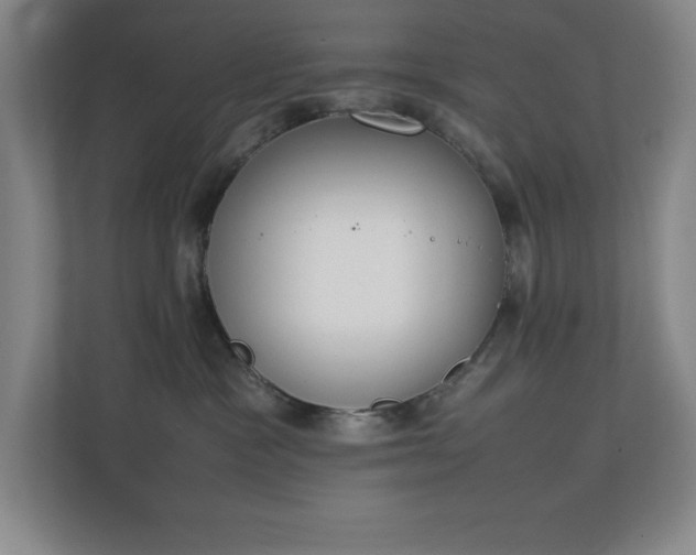 X0000111250333200907021436