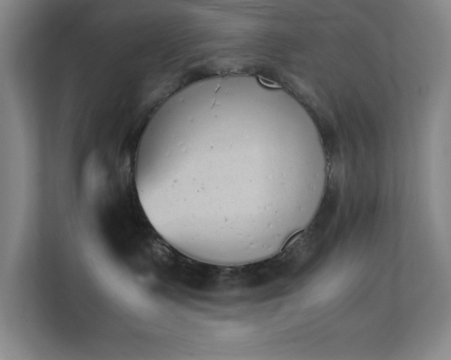 X0000111250335200907021436
