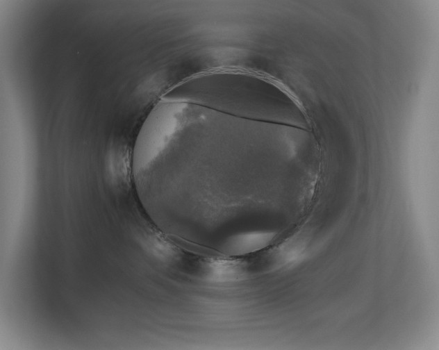 X0000111250336200907021436