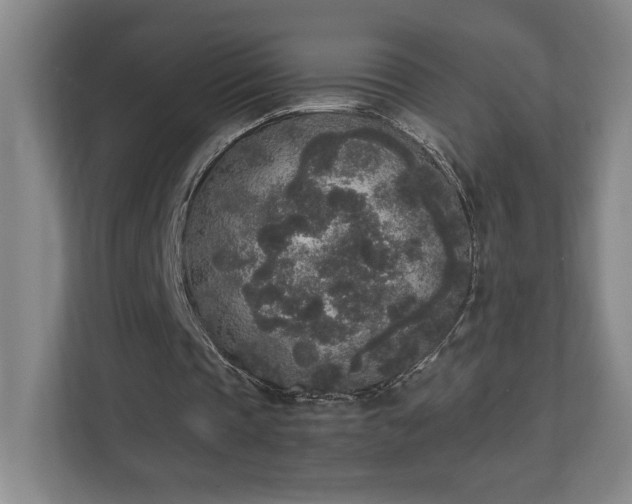 X0000111250337200907021435
