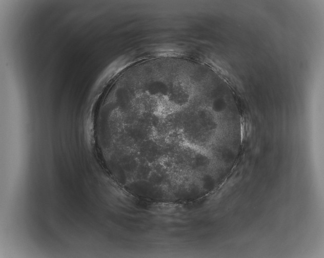 X0000111250339200907021435