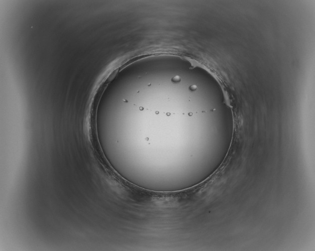 X0000111250340200907021435