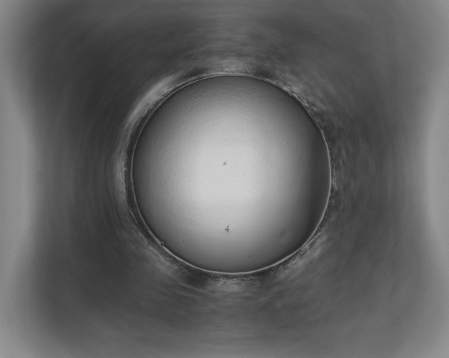 X0000111250341200907021435