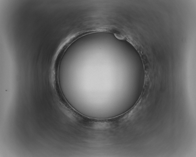 X0000111250342200907021435