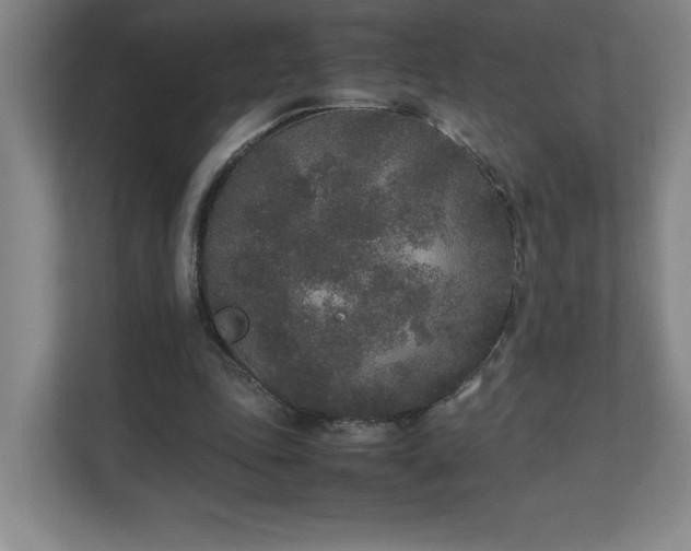 X0000111250343200907021435