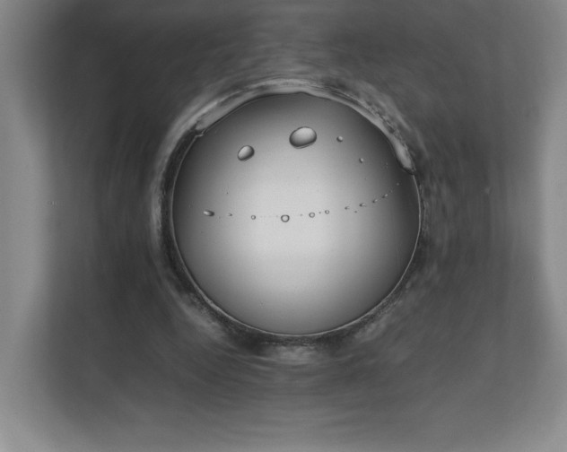 X0000111250344200907021435