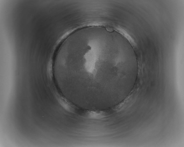 X0000111250346200907021436