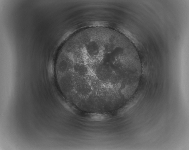 X0000111250347200907021436