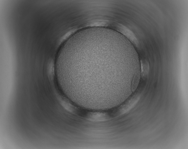 X0000111250348200907021436
