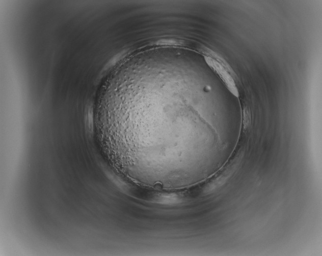 X0000111250349200907021436