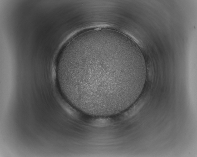 X0000111250350200907021436