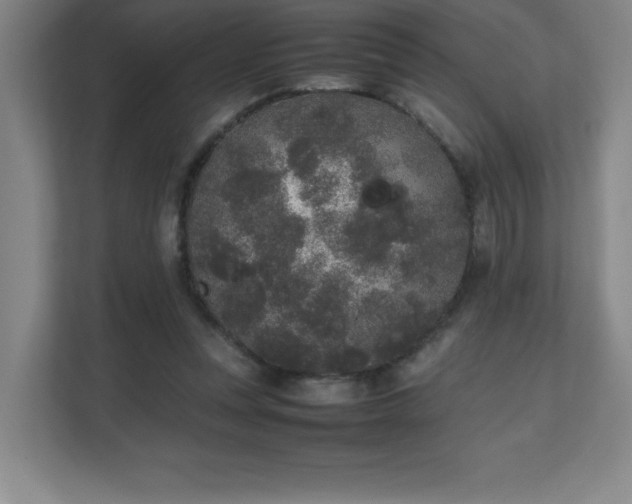 X0000111250351200907021436