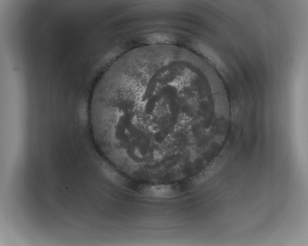 X0000111250353200907021436