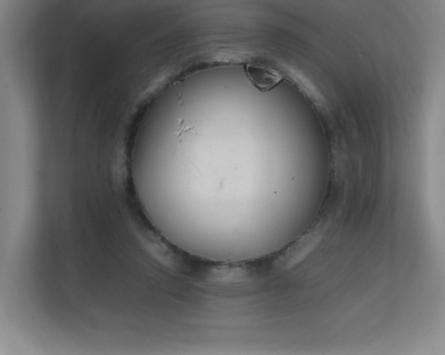 X0000111250354200907021436