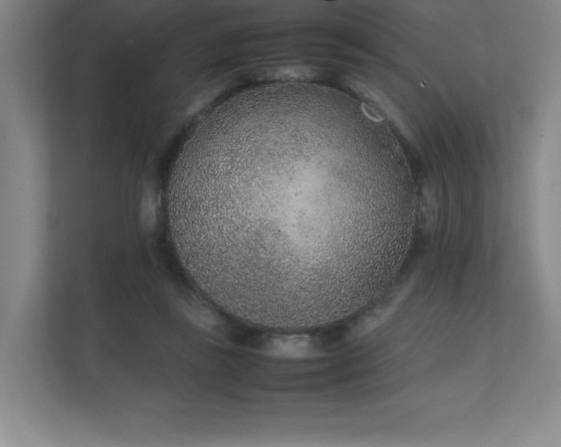 X0000111250355200907021436