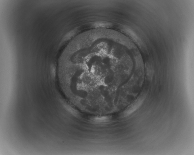 X0000111250357200907021436