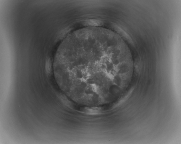 X0000111250359200907021436