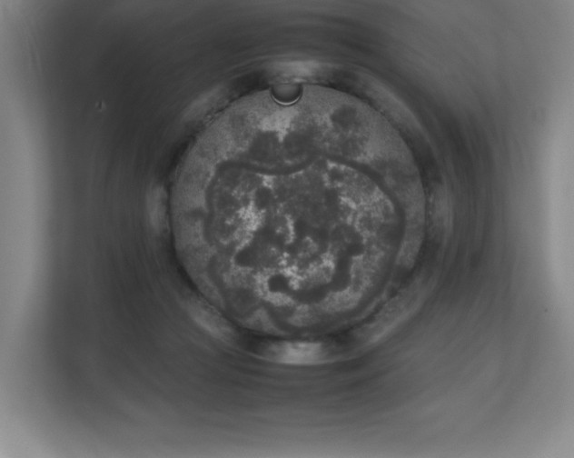 X0000111250361200907021436