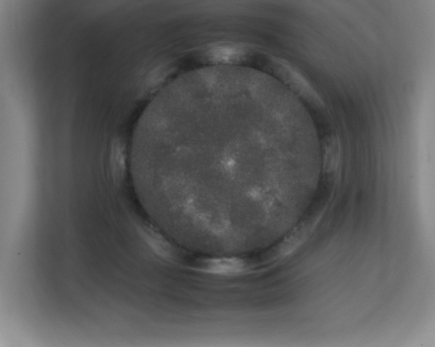 X0000111250363200907021436