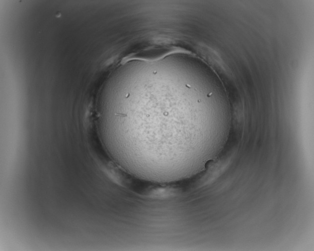 X0000111250364200907021436