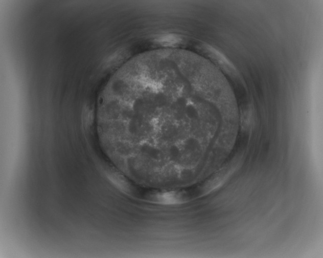 X0000111250365200907021436