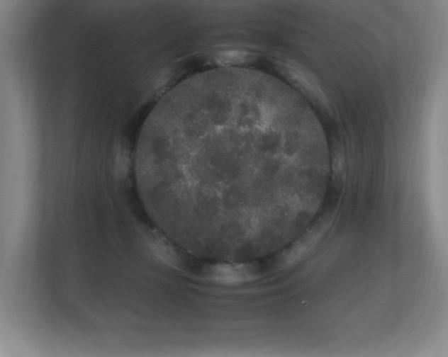 X0000111250367200907021436